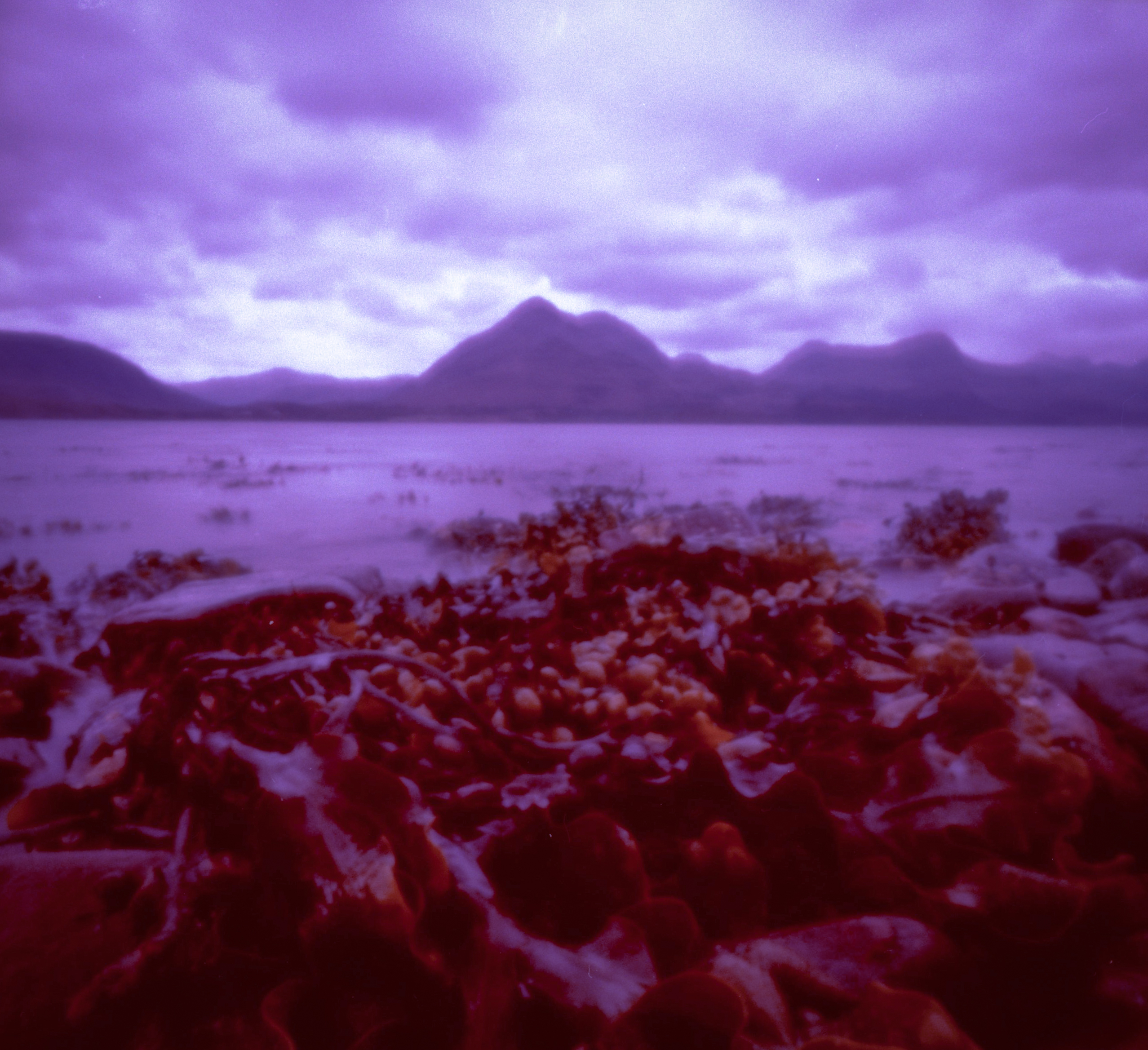 Loch Torridon